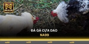 Đá Gà Cựa Dao - Luật Chơi Và Bí Quyết Ăn Tiền Đều Tay