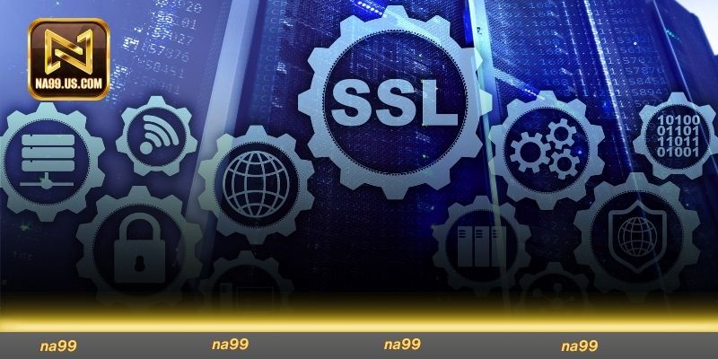 Quyền riêng tư quy định áp dụng công nghệ SSL 